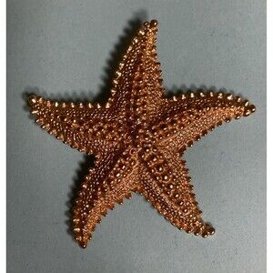 New View Starfish Brooch - New View Gold Tone Starfish Pin